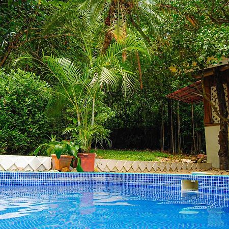Hacienda Sarah Villa Nosara Exteriör bild